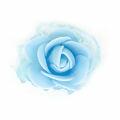 flor eva152402 azul bb